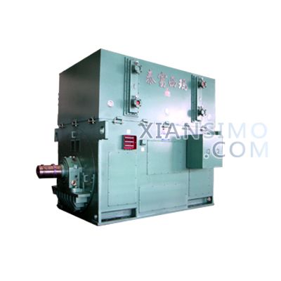 YR5002-8/315KW(710-1000)机座大型高压电机