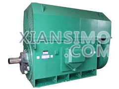 国营尖峰岭林业公司Y系列（355-710机座）鼠笼型高压电机